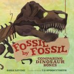 Fossil by Fossil Comparing Dinosaur Bones, Sara Levine