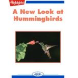 A New Look at Hummingbirds, Jack Myers, Ph.D.