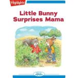 Little Bunny Surprises Mama Little Bunny, Eileen Spinelli