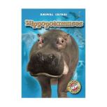 Hippopotamuses, Kari Schuetz