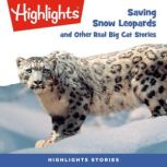 Saving Snow Leopards and Other Real Big Cat Stories, Highlights For Children