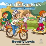 Cul-de-Sac Kids Collection One Books 1-6, Beverly Lewis