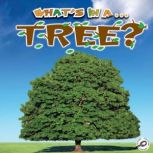 What's In A Tree?