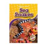 Sea Snakes, Colleen Sexton