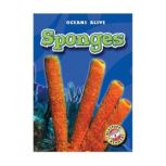 Sponges, Colleen Sexton