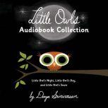Little Owl's Audiobook Collection Little Owl's Night; Little Owl's Day; Little Owl's Snow, Divya Srinivasan