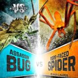 Assassin Bug vs. Ogre-Faced Spider When Cunning Hunters Collide, Alicia Z. Klepeis