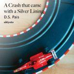 A Crash that came with a Silver Lining, D.S. Pais