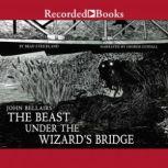 The Beast Under the Wizard's Bridge, John Bellairs