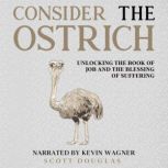Consider the Ostrich Unlocking the Book of Job and the Blessing of Suffering