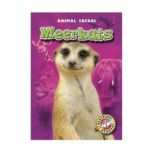 Meerkats, Kari Schuetz