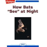 How bats see at night, Amy S. Hansen