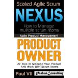 Agile Product Management: Scaled Agile Scrum: Nexus & Product Owner 27 Tips to Manage Your Product, Paul VII