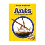 Ants, Emily K. Green