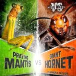 Praying Mantis vs. Giant Hornet Battle of the Powerful Predators, Alicia Z. Klepeis
