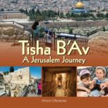 Tisha B'Av A Jerusalem Journey, Allison Ofanansky