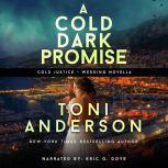 A Cold Dark Promise FBI Romantic Suspense, Toni Anderson