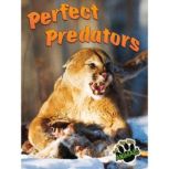 Perfect Predators Eye to Eye with Animals, Joanne Mattern