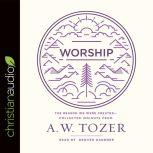 Worship The Reason We Were Created-Collected Insights from A. W. Tozer, A. W. Tozer