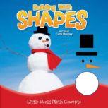 Building With Shapes Little World Math Concepts, Carla Mooney