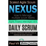 Agile Product Management: Scaled Agile Scrum: Nexus & Daily Scrum, 21 Tips to Coordinate Your Team, Paul VII