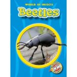 Beetles, Colleen Sexton