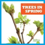 Trees in Spring, Jenny Fretland VanVoorst