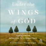 Under the Wings of God Twenty Biblical Reflections for a Deeper Faith, Cornelius Plantinga