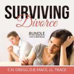 Surviving Divorce Bundle: 3 in 1 Bundle, Divorce Made Simple, Divorce Poison, and Children and Divorce, C.N. Gregg