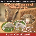 Goats and Sheep Photos and Fun Facts for Kids, Isis Gaillard