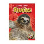 Sloths, Megan Borgert-Spaniol