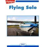 Flying Solo, Susan Federici