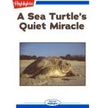 A Sea Turtle's Quiet Miracle, Lorraine A. Jay