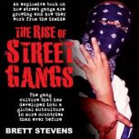 The Rise of Street Gangs The gang culture that has developed into a global subculture in more countries than ever before., Brett Stevens