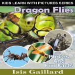 Dragon Flies Photos and Fun Facts for Kids, Isis Gaillard