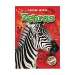 Zebras, Derek Zobel