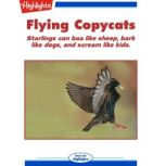 Flying Copycats, Patricia M. Newman