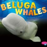 Beluga Whales, Elizabeth R. Johnson