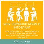 Why communication is important: How Important is Communication in Small Groups and Within the Business and Learn How You Can Improve It, Mary G. Lewis