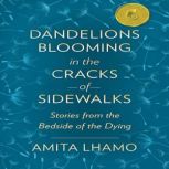Dandelions Blooming in the Cracks of Sidewalks Stories from the Bedside of the Dying, Amita Lhamo