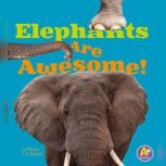 Elephants Are Awesome!, Martha Rustad