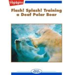 Flash! Splash! Training a Deaf Polar Bear, Mary Ann Hellinghausen