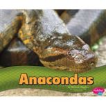 Anacondas, Melissa Higgins