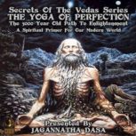 Secrets Of The Vedas Series - The Yoga Of Perfection The 5000 Year Old Path To Enlightenment - A Spiritual Primer For Our Modern World, Jagannatha Dasa and company