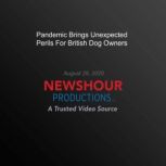 Pandemic Brings Unexpected Perils For British Dog Owners, PBS NewsHour