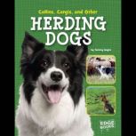 Collies, Corgies, and Other Herding Dogs, Tammy Gagne