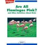 Are All Flamingos Pink?, Highlights for Children
