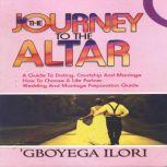 The Journey to The Altar, Adegboyega Ilori