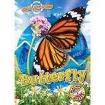 Animal Life Cycles: Butterfly