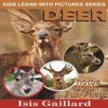 Deer Photos and Fun Facts for Kids, Isis Gaillard